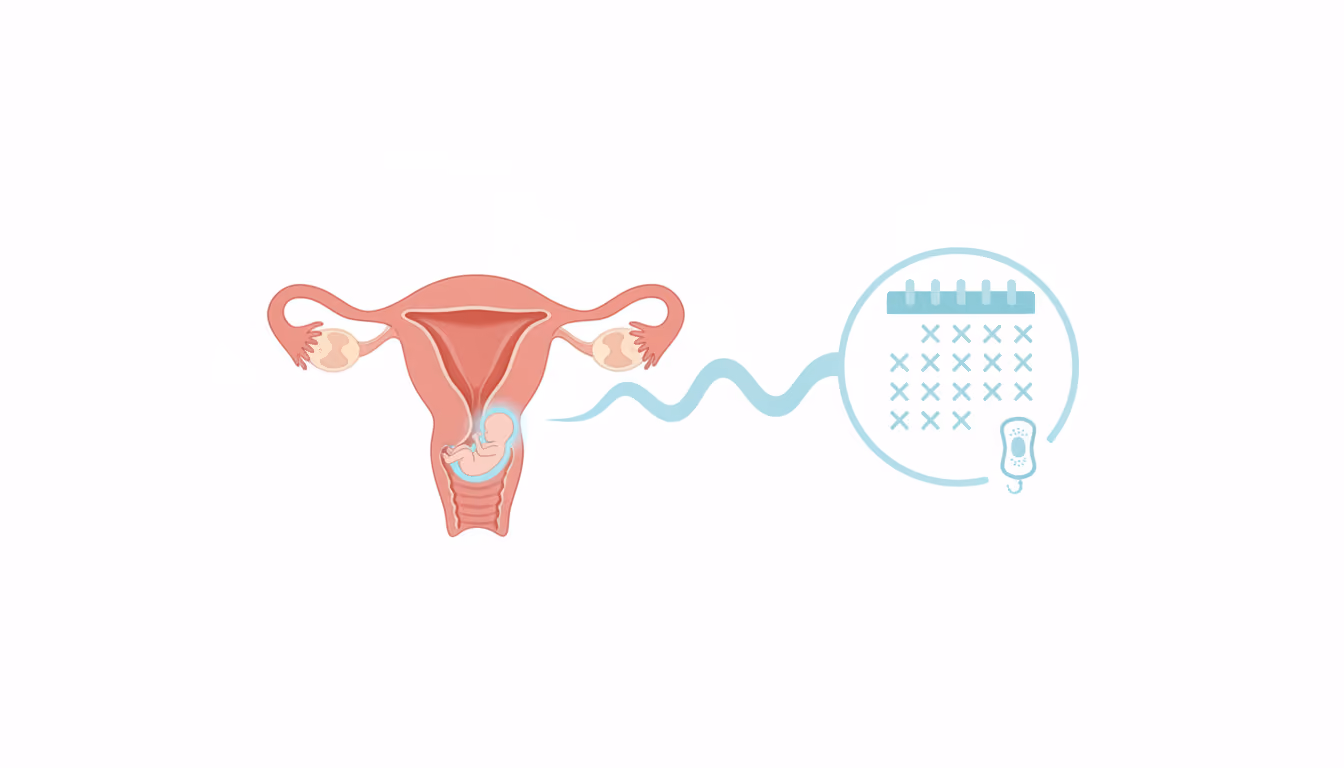 Amenorrhea