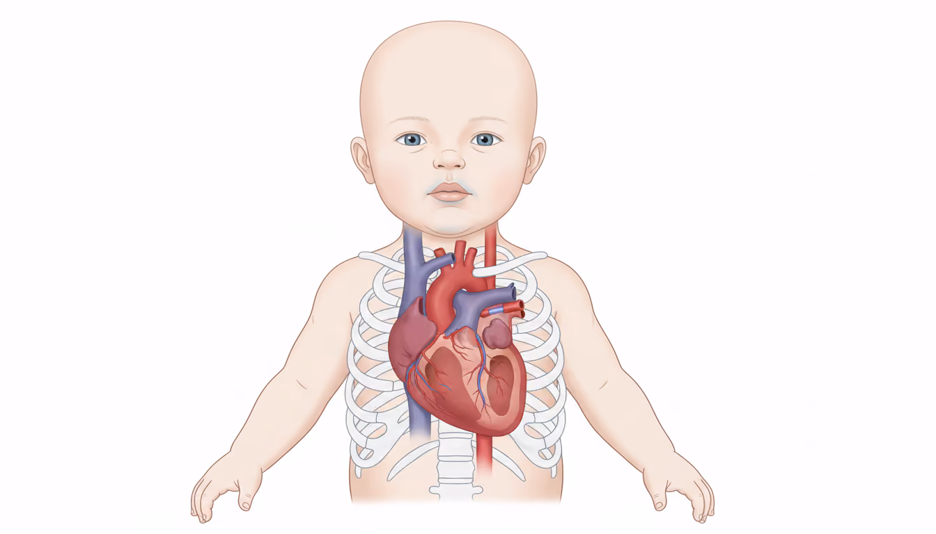Blue baby operation