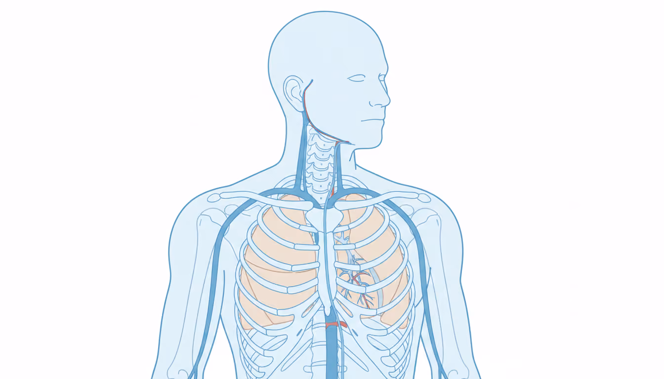 Central venous line