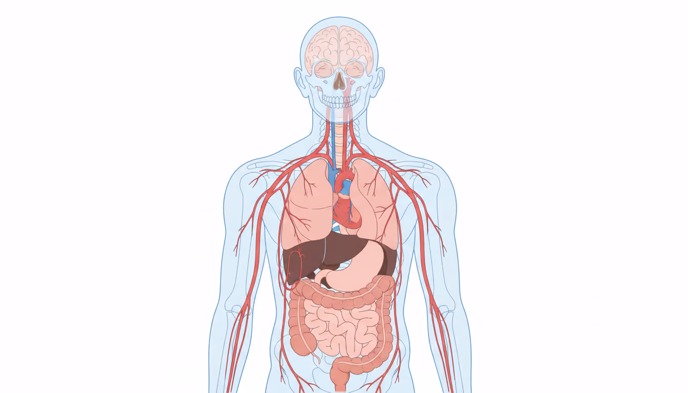 Cranial nerve X