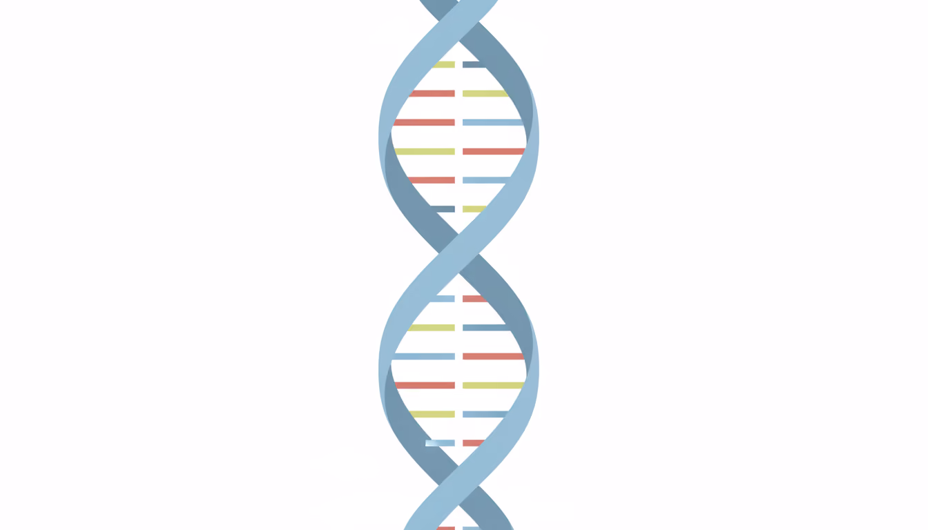 DNA