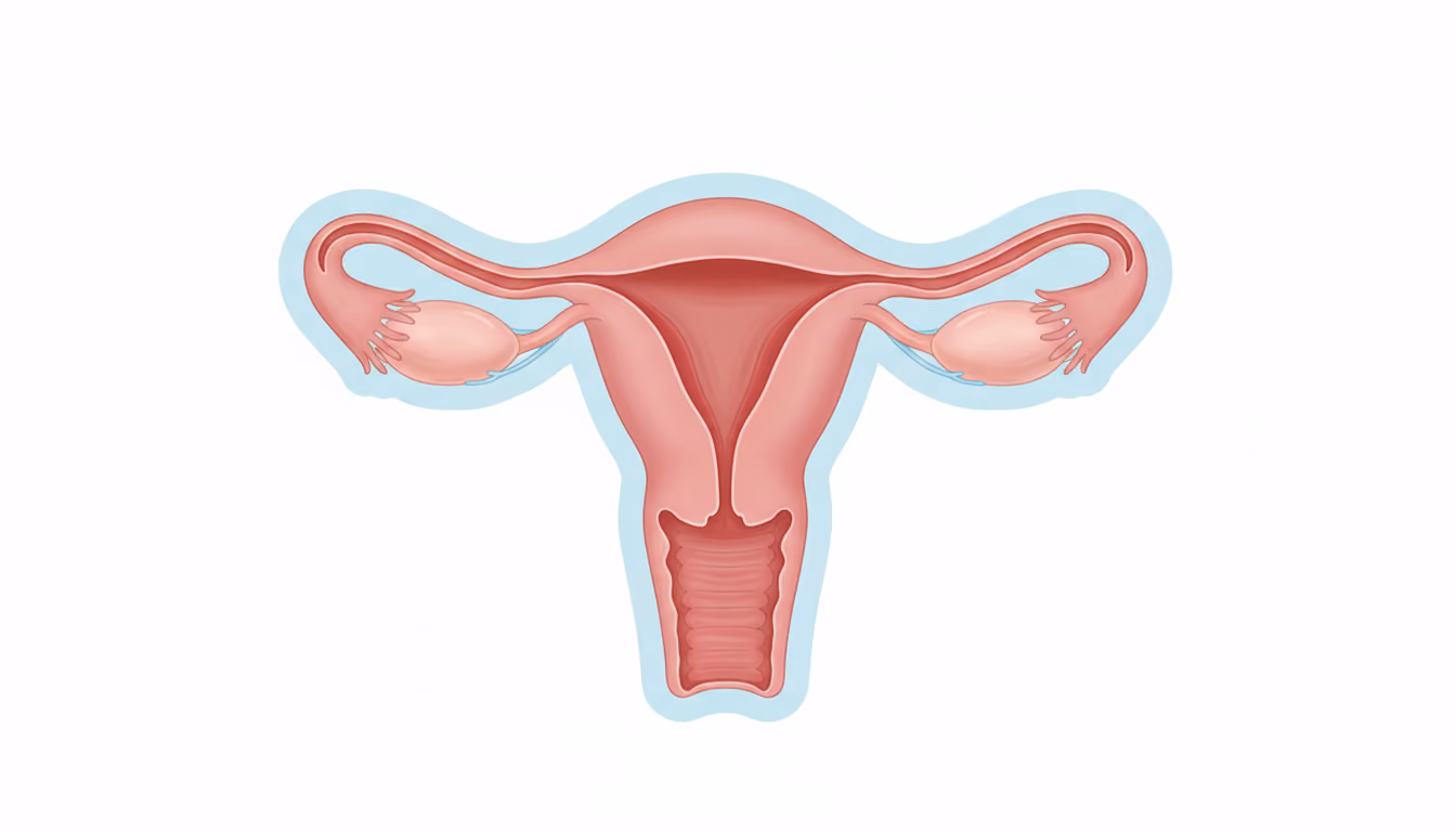 Female gonad