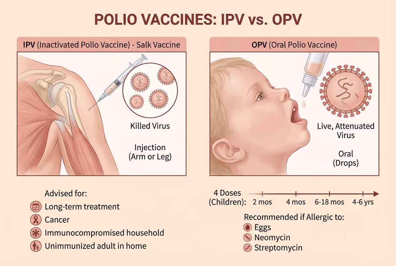 IPV