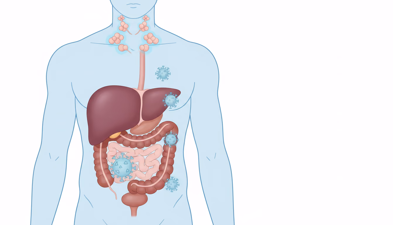 Mononucleosis