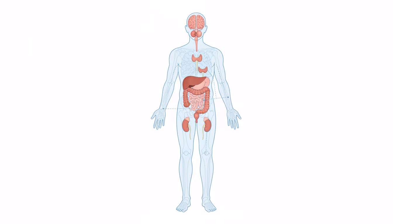 Pituitary gland