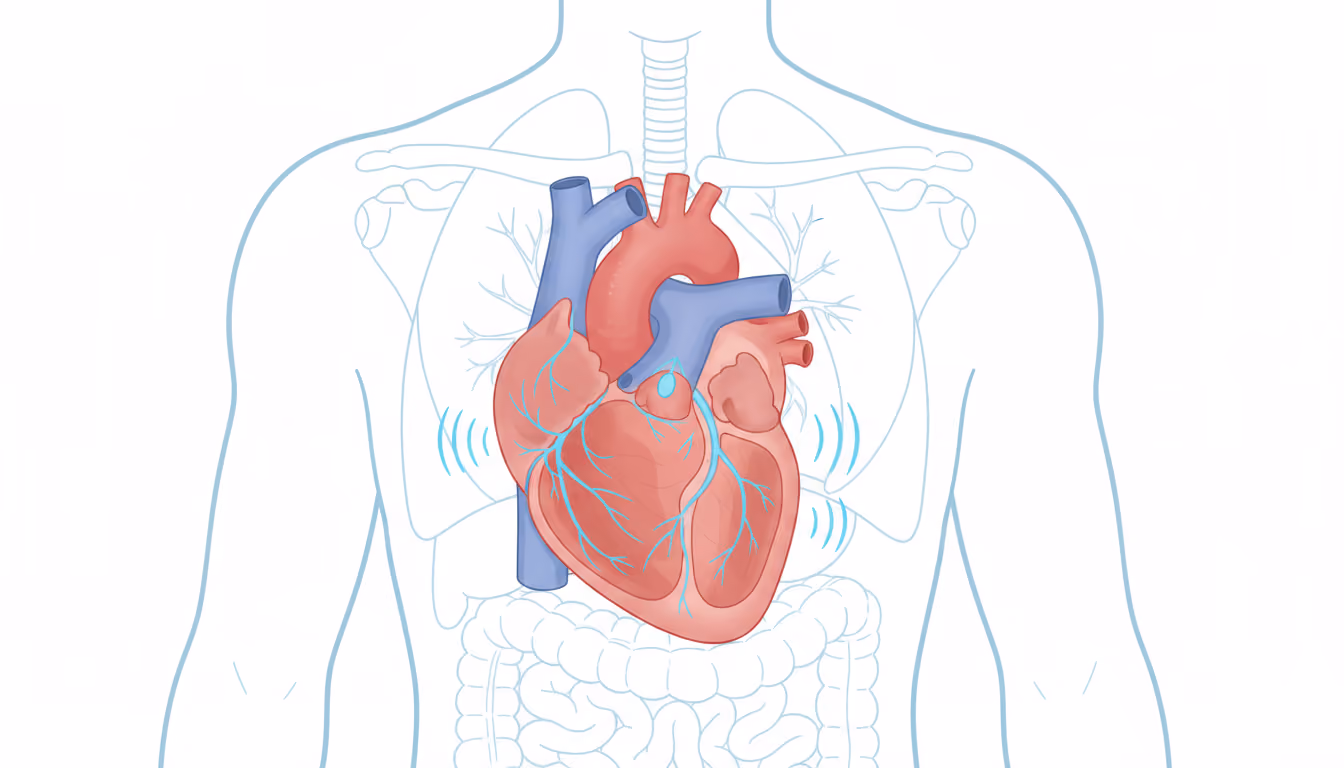 Sinus rhythm