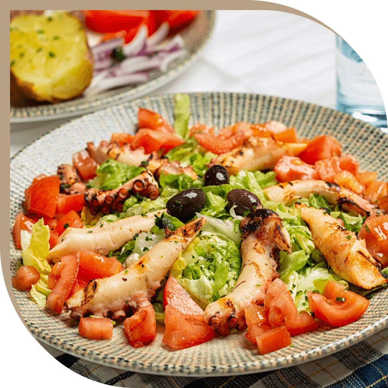 Polito alla griglia del Ristorante El Greco di Bologna con insalata, pomodori freschi, olive e lattuga.