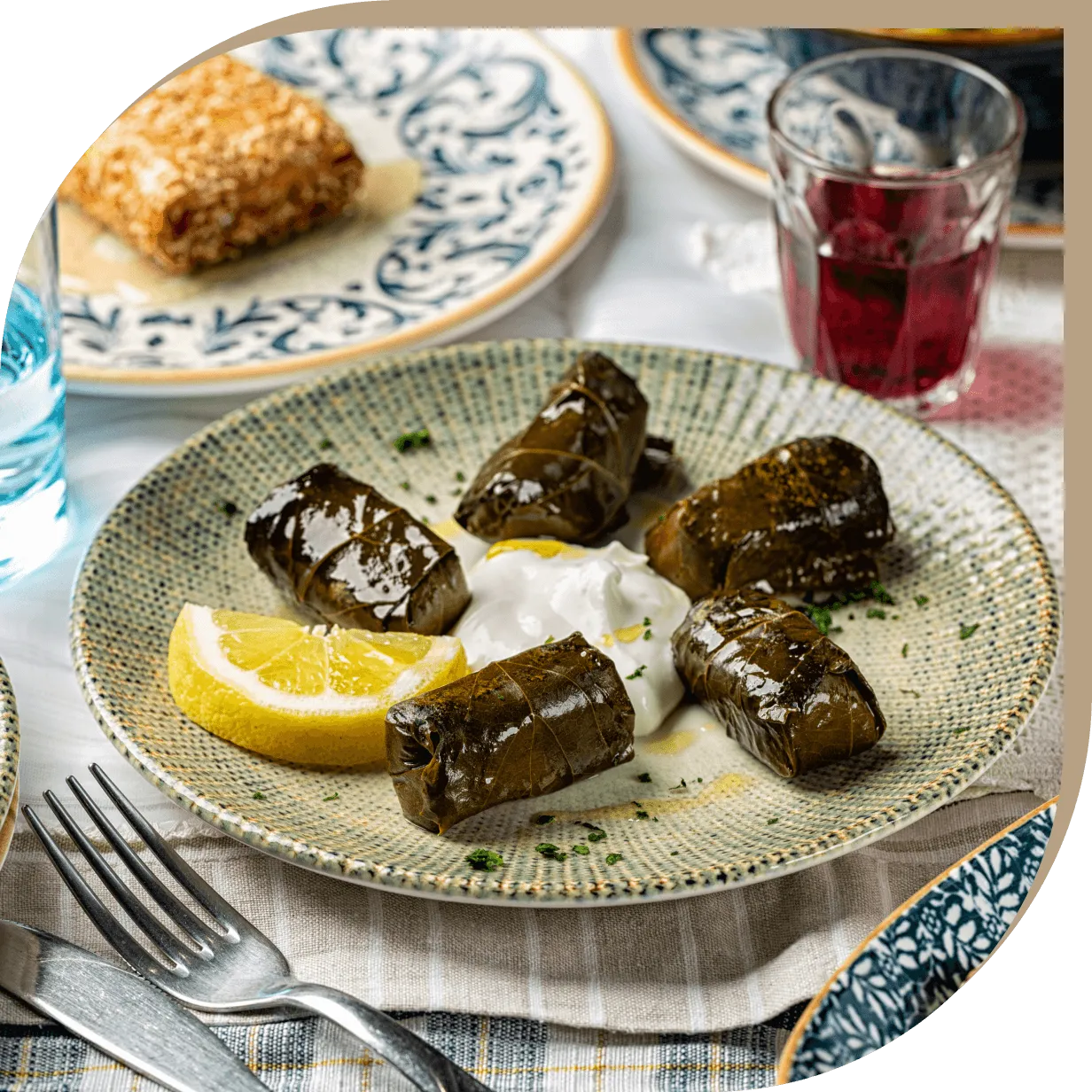 Involtini di foglie di vite con riso e salsa allo yogurt serviti su ceramiche greche del Ristorante El Greco di Bologna.