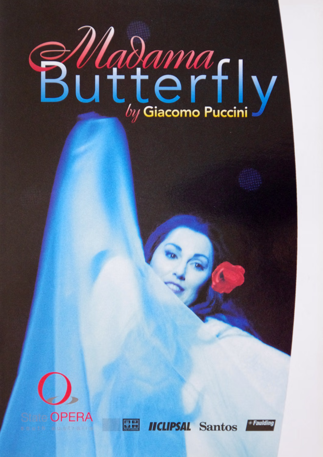 SOP Butterfly cover.jpg