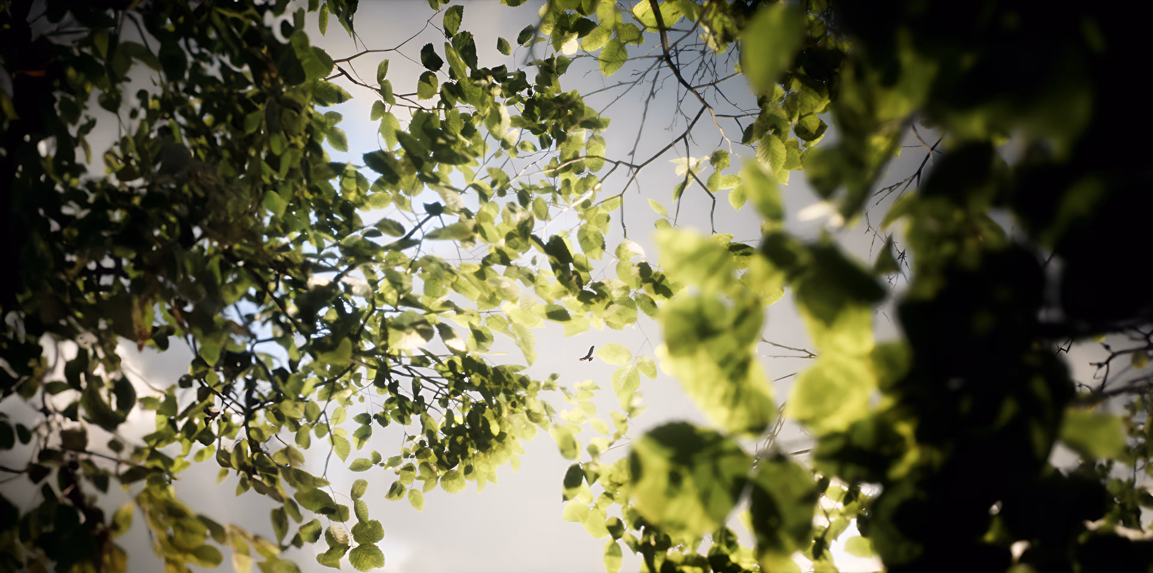 Environment Artist Saarland Rheinland Pfalz - fotorealistisches Environment 3d Visualisierung