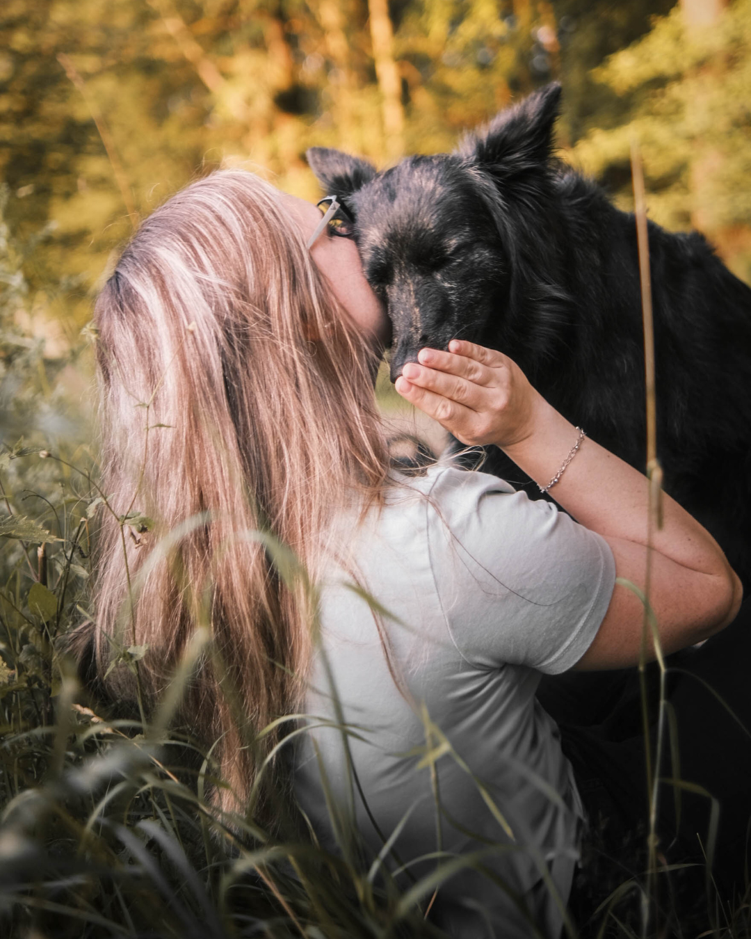 hundefotograf_tiershoot_schäferhund_saarland_neunkirchen_rkdesignelements