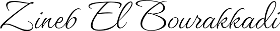 A hand signature of Dr Zineb
