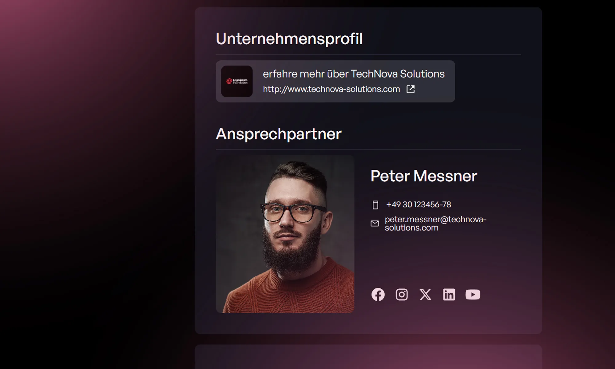 Unternehmensprofil Datenbank im Darkmode CMS