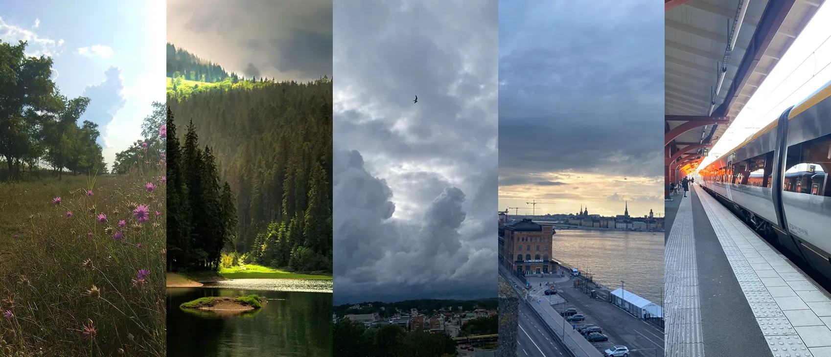 Compare Ukraine and Sweden