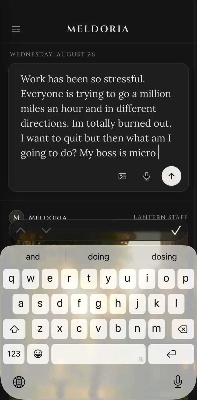 The Meldoria composer on a phone: a few typed lines about a stressful week, with a photo button, a microphone and a send arrow
