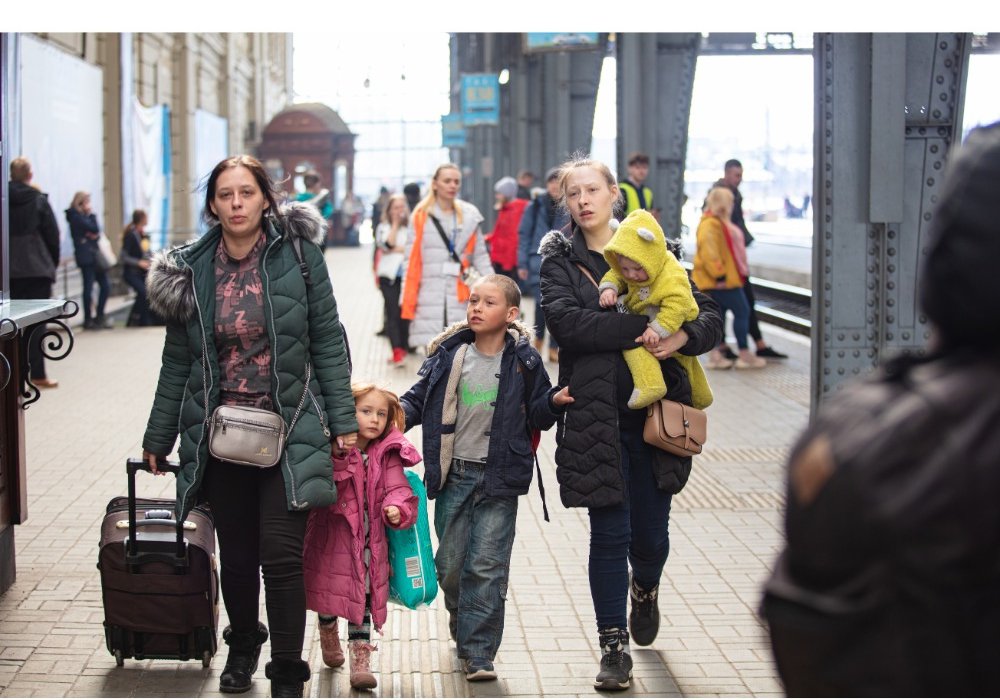 How Global Refuge Increased Grant Proposals by 500% During a Funding Crisis