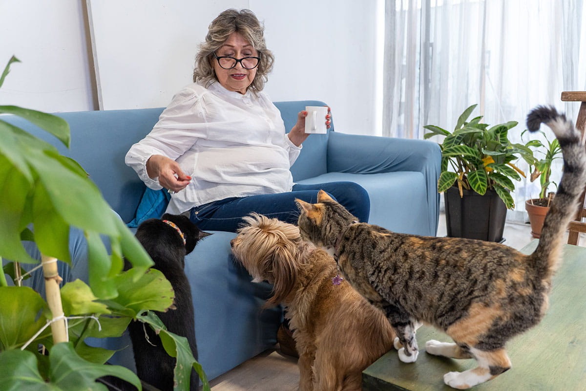 Woman with dog and cat