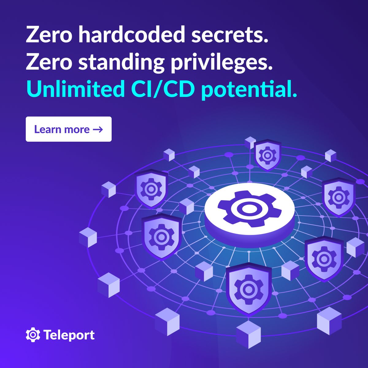 Teleport LinkedIn Ad Creative Example - Ad Library for DevTools