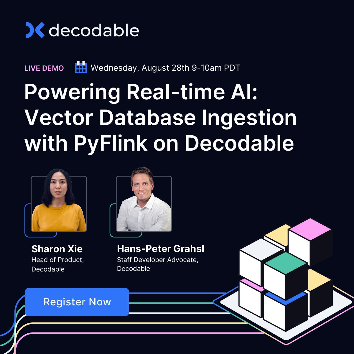 Decodable LinkedIn Ad Creative Example - Ad Library for DevTools