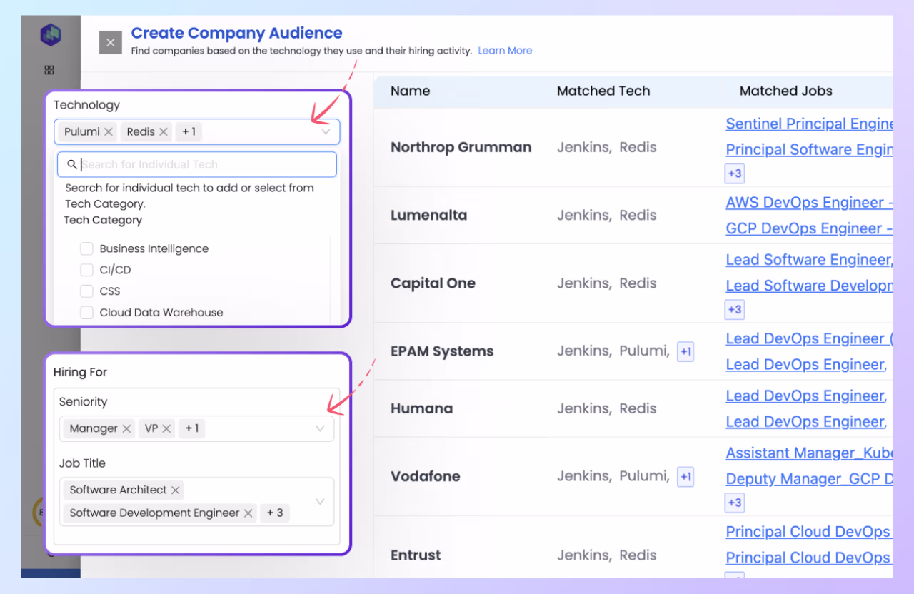 Create Company Audience