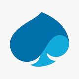 Capgemini Company Logo