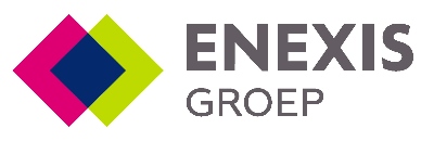 Enexis Company Logo