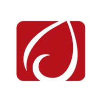 Conexant Company Logo