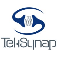 TekSynap Company Logo
