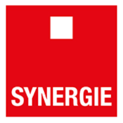 Synergie Italia Company Logo