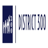 Community Unit School District 300 Company Logo
