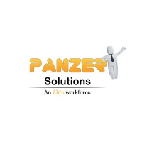 Panzer Solutions LLC Company Logo