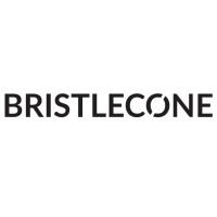 Bristlecone Company Logo