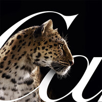 Cartier Company Logo