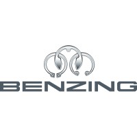 Hugo Benzing GmbH & Co. KG Company Logo