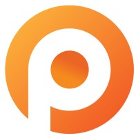 Pauwels Consulting Company Logo