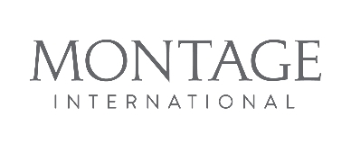 Montage International Company Logo