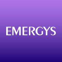 Emergys Solutions Private Limited (Formerly Ellicium Solutions Private Limited) Company Logo