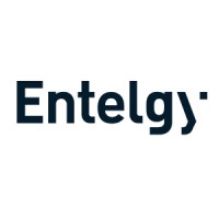 Entelgy Company Logo