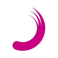 Planisware Company Logo