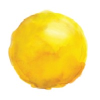 CooperSurgical Company Logo