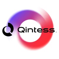 Qintess Company Logo
