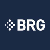 Berkeley Research Group, LLC Company Logo