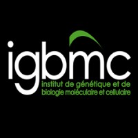 IGBMC Company Logo
