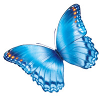 Nationwide Children's Hospital Company Logo