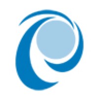 Macrosoft Company Logo