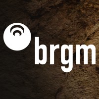 BRGM Company Logo