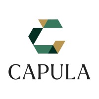 Capula Investment Management LLP Company Logo