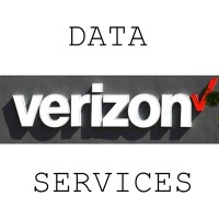 Verizon Data Services Company Logo