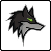 Dark Wolf Solutions Company Logo