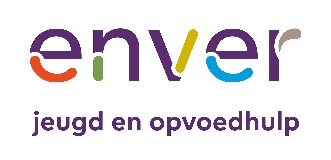 Enver Company Logo